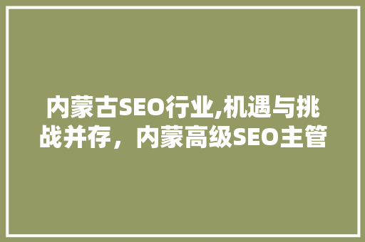 内蒙古SEO行业,机遇与挑战并存，内蒙高级SEO主管详细介绍