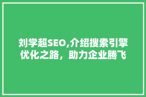 刘学超SEO,介绍搜索引擎优化之路，助力企业腾飞