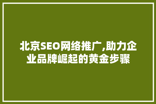 北京SEO网络推广,助力企业品牌崛起的黄金步骤