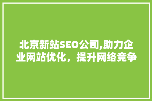 北京新站SEO公司,助力企业网站优化，提升网络竞争力