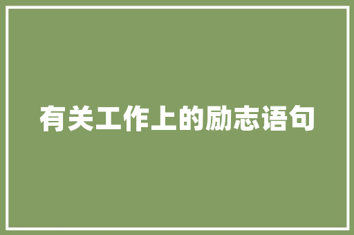 南京SEO收费标准介绍,如何合理规划SEO投资，提升网站排名