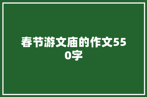 南宁SEO公司排行介绍,助力企业互联网营销的领军力量