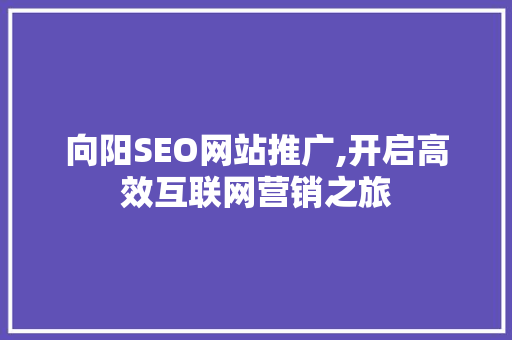 向阳SEO网站推广,开启高效互联网营销之旅