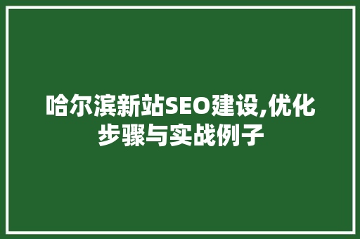 哈尔滨新站SEO建设,优化步骤与实战例子