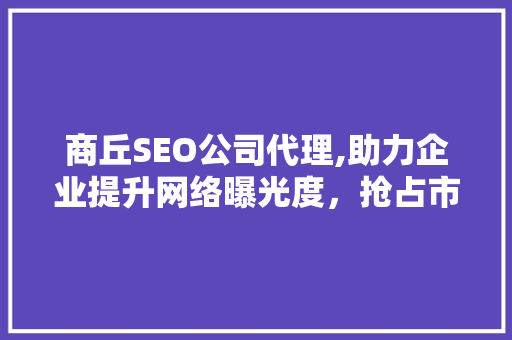 商丘SEO公司代理,助力企业提升网络曝光度，抢占市场先机