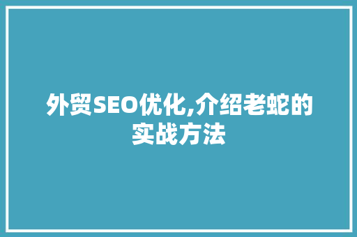 外贸SEO优化,介绍老蛇的实战方法