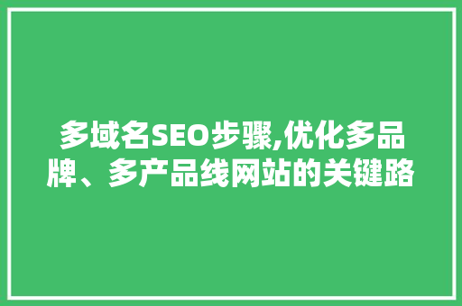 多域名SEO步骤,优化多品牌、多产品线网站的关键路径
