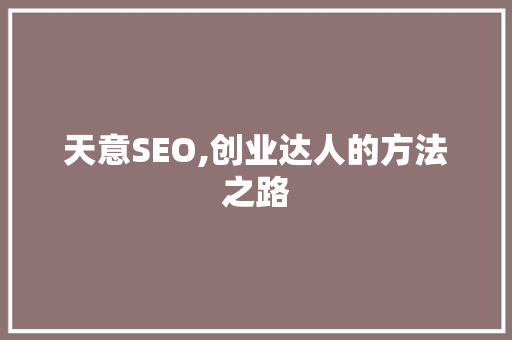 天意SEO,创业达人的方法之路