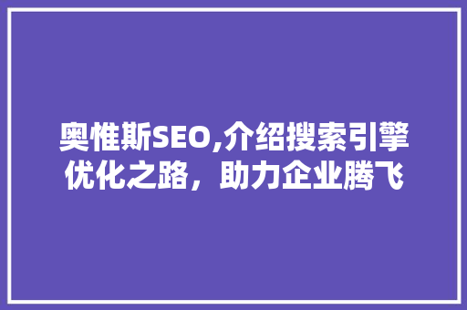 奥惟斯SEO,介绍搜索引擎优化之路，助力企业腾飞