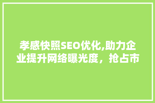 孝感快照SEO优化,助力企业提升网络曝光度，抢占市场份额