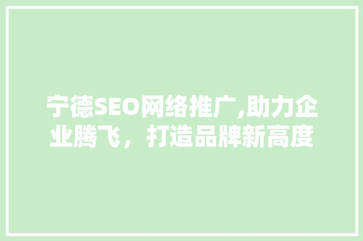 宁德SEO网络推广,助力企业腾飞，打造品牌新高度