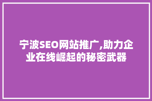 宁波SEO网站推广,助力企业在线崛起的秘密武器