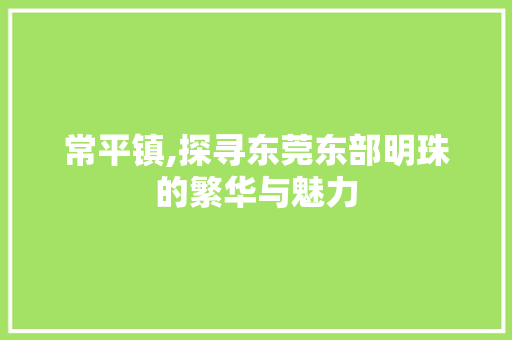 常平镇,探寻东莞东部明珠的繁华与魅力