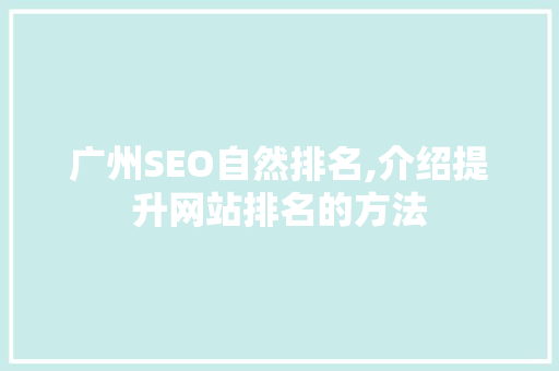 广州SEO自然排名,介绍提升网站排名的方法