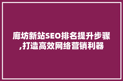 廊坊新站SEO排名提升步骤,打造高效网络营销利器
