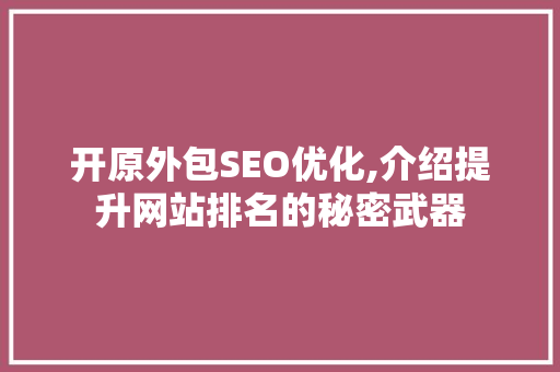 开原外包SEO优化,介绍提升网站排名的秘密武器