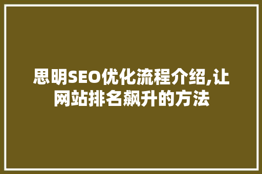 思明SEO优化流程介绍,让网站排名飙升的方法