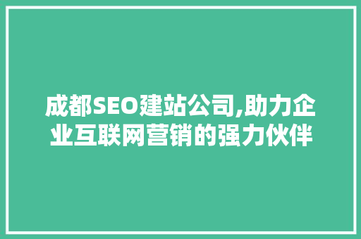 成都SEO建站公司,助力企业互联网营销的强力伙伴