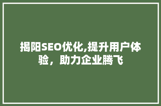 揭阳SEO优化,提升用户体验，助力企业腾飞