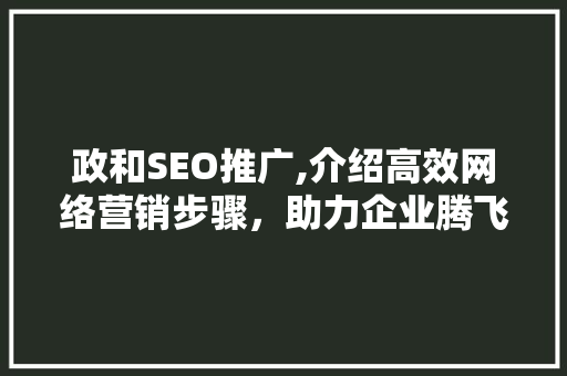政和SEO推广,介绍高效网络营销步骤，助力企业腾飞