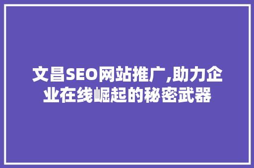 文昌SEO网站推广,助力企业在线崛起的秘密武器  第1张