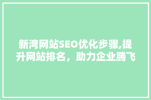 新湾网站SEO优化步骤,提升网站排名，助力企业腾飞