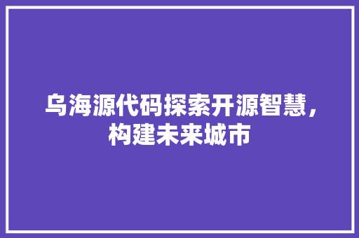 乌海源代码探索开源智慧，构建未来城市