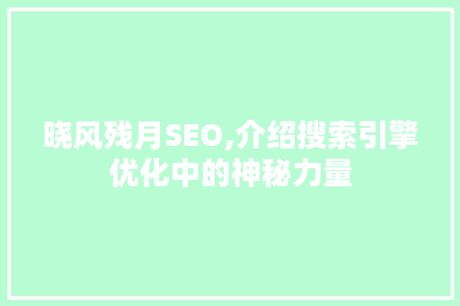 晓风残月SEO,介绍搜索引擎优化中的神秘力量