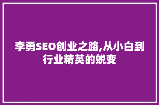 李勇SEO创业之路,从小白到行业精英的蜕变