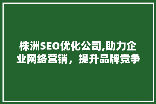 株洲SEO优化公司,助力企业网络营销，提升品牌竞争力