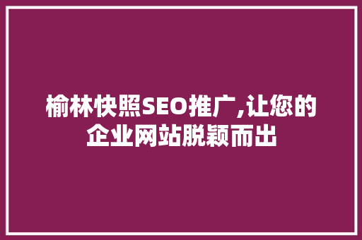榆林快照SEO推广,让您的企业网站脱颖而出