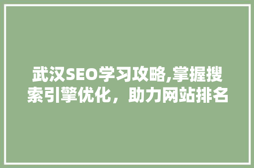 武汉SEO学习攻略,掌握搜索引擎优化，助力网站排名提升