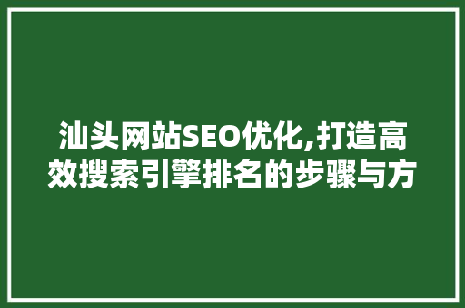汕头网站SEO优化,打造高效搜索引擎排名的步骤与方法