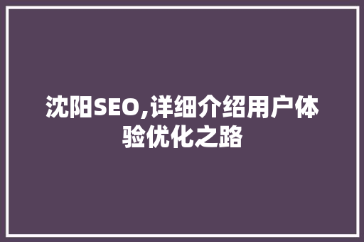 沈阳SEO,详细介绍用户体验优化之路
