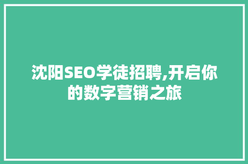 沈阳SEO学徒招聘,开启你的数字营销之旅