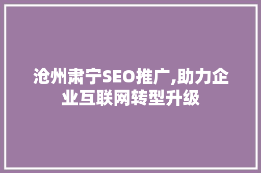 沧州肃宁SEO推广,助力企业互联网转型升级
