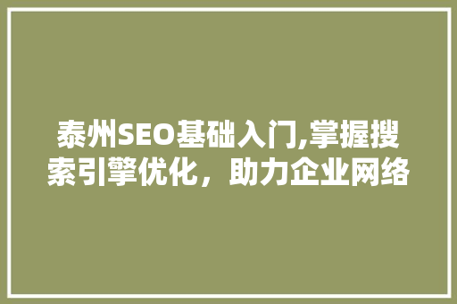 泰州SEO基础入门,掌握搜索引擎优化，助力企业网络营销