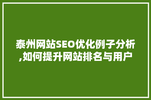 泰州网站SEO优化例子分析,如何提升网站排名与用户体验