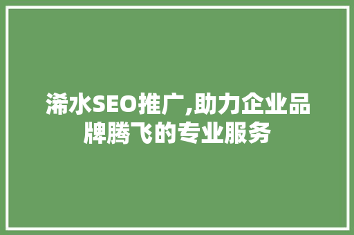 浠水SEO推广,助力企业品牌腾飞的专业服务