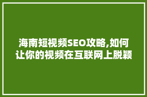 海南短视频SEO攻略,如何让你的视频在互联网上脱颖而出