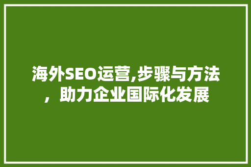 海外SEO运营,步骤与方法，助力企业国际化发展