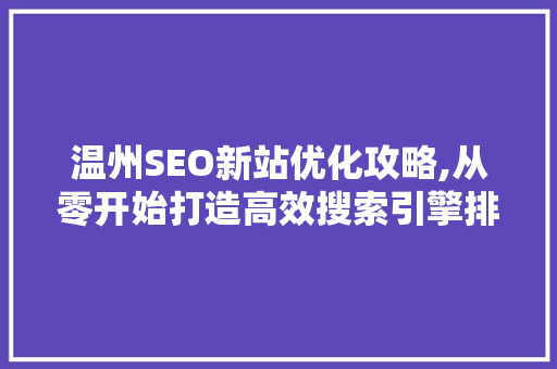 温州SEO新站优化攻略,从零开始打造高效搜索引擎排名
