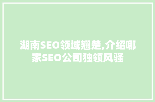 湖南SEO领域翘楚,介绍哪家SEO公司独领风骚