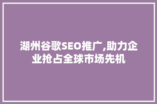 湖州谷歌SEO推广,助力企业抢占全球市场先机