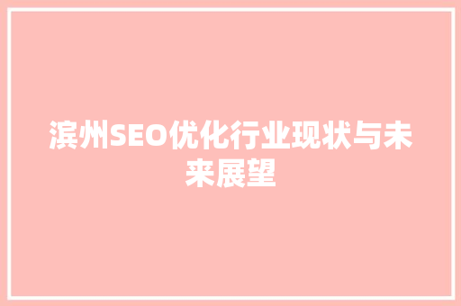 滨州SEO优化行业现状与未来展望