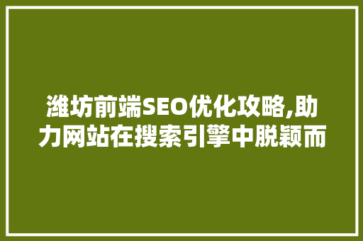 潍坊前端SEO优化攻略,助力网站在搜索引擎中脱颖而出