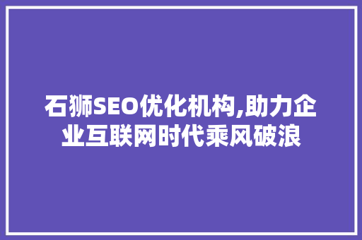 石狮SEO优化机构,助力企业互联网时代乘风破浪