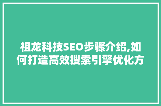 祖龙科技SEO步骤介绍,如何打造高效搜索引擎优化方法
