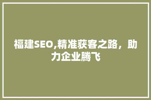 福建SEO,精准获客之路，助力企业腾飞