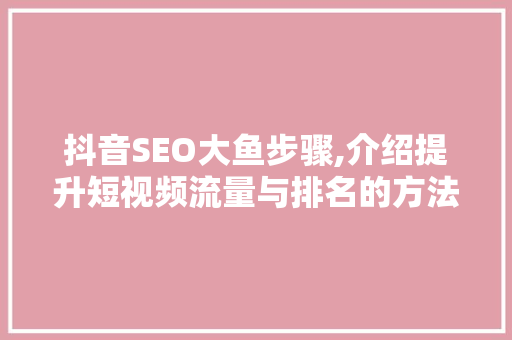 抖音SEO大鱼步骤,介绍提升短视频流量与排名的方法